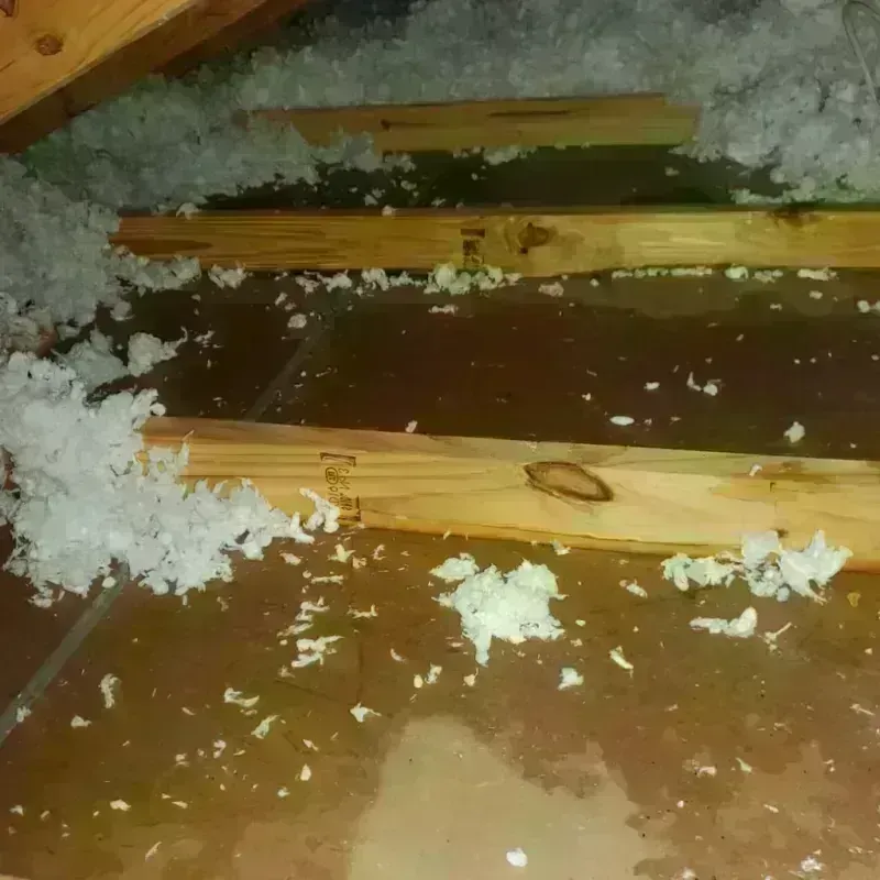 Attic Water Damage in Park Ridge, IL