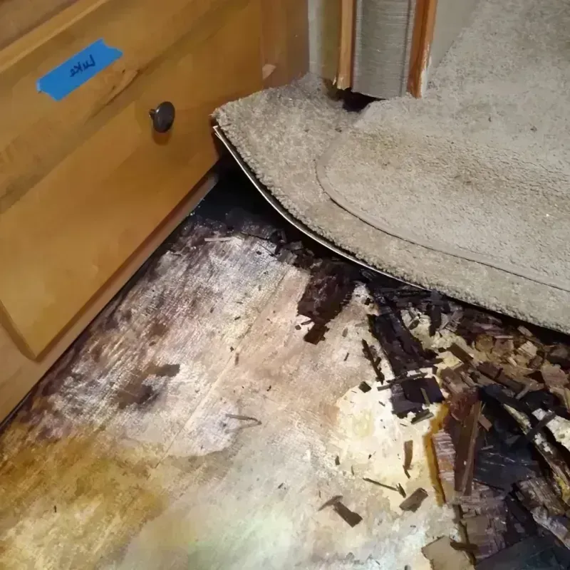 Best Wood Floor Water Damage Service in Park Ridge, IL